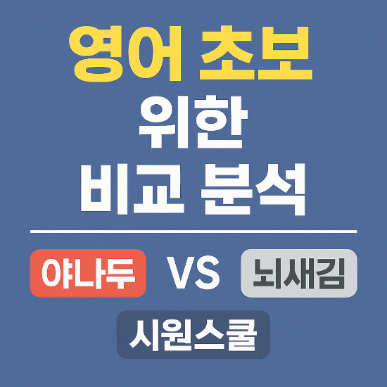 영어 초보 비교분석