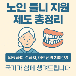 노인틀니지원제도 노인틀니지원제도